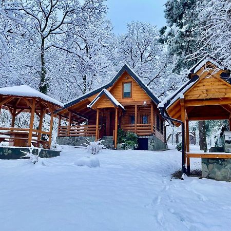 Villa Brvnara Vršac Exterior foto