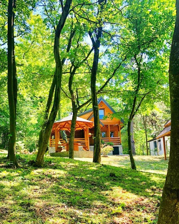 Villa Brvnara Vršac Exterior foto